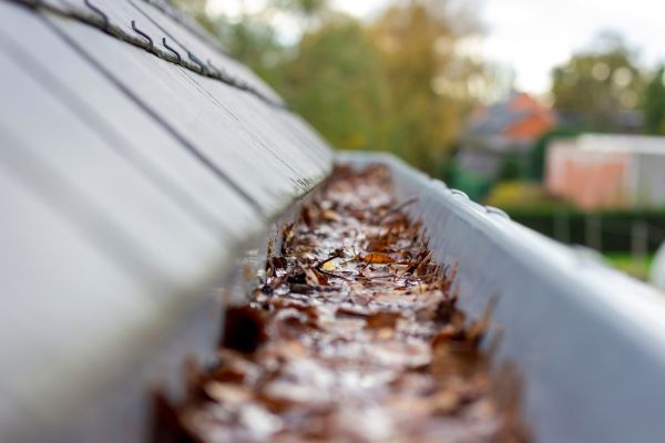 Commercial Gutter Cleaning in Sun City
