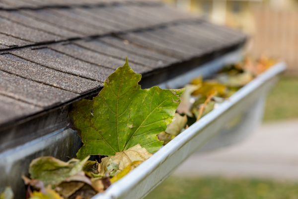 Commercial Downspout Cleaning in Sun City