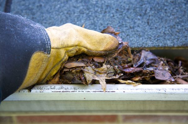 Cost of Jammed Gutter Cleaning in Sun City