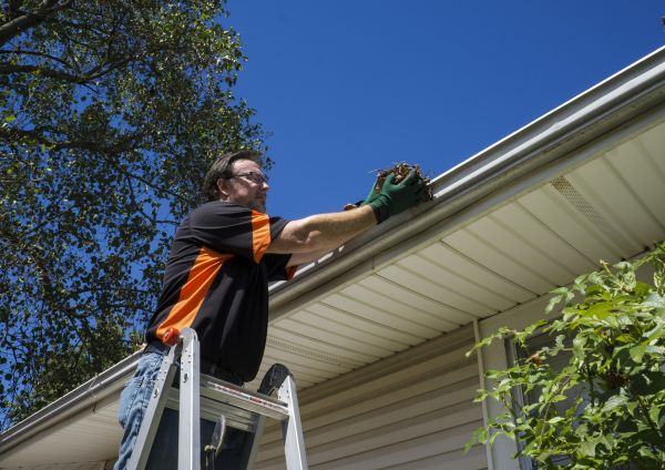 Cost of Eavestrough Clearing in Sun City