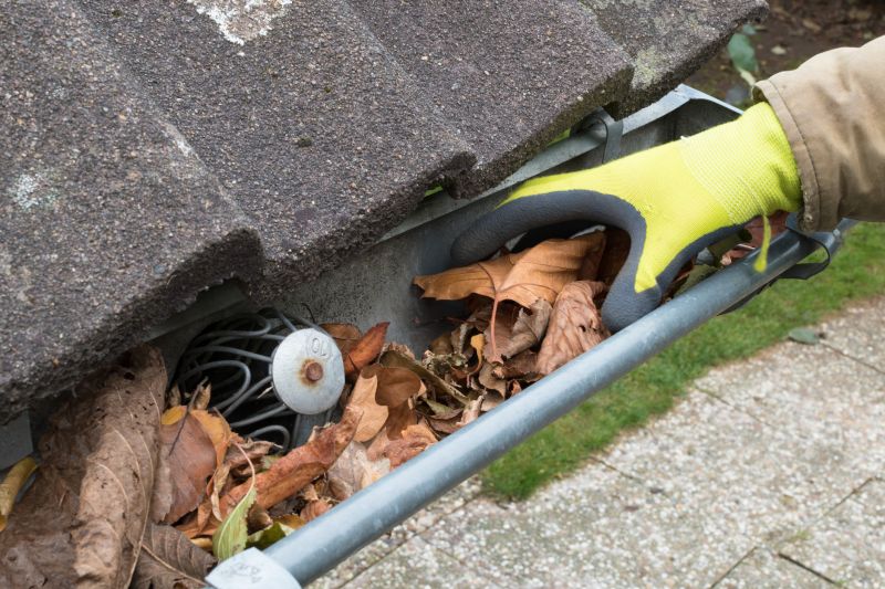 Emergency Gutter Cleaning